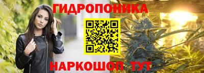стафф Донской