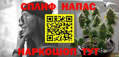 винт Донецк