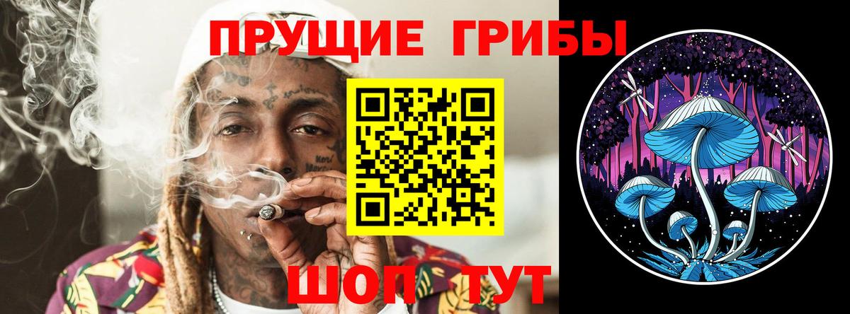 Гусиноозёрск  Псилоцибиновые грибы GOLDEN TEACHER  Вход с VPN 