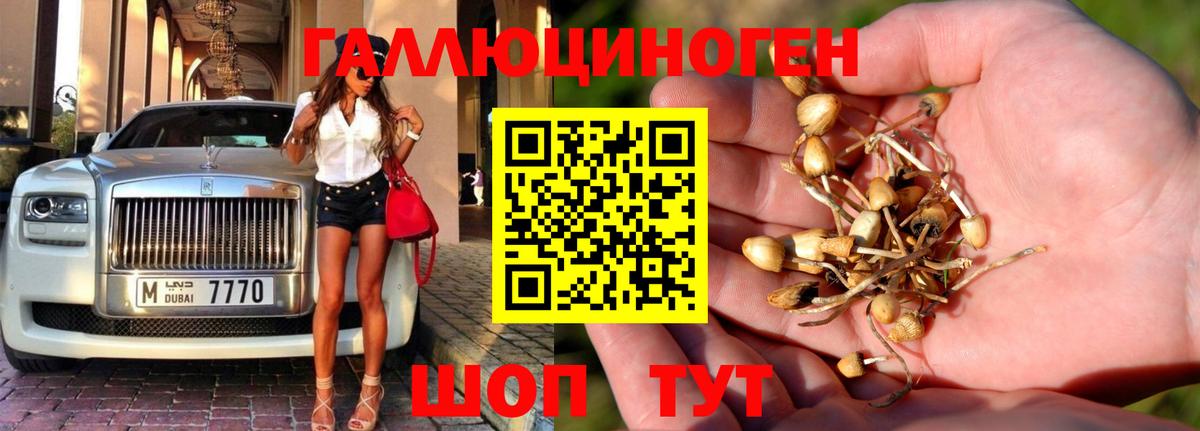 Галлюциногенные грибы MAGIC MUSHROOMS Гусиноозёрск